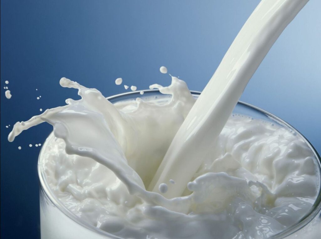 Latte prodotto in laboratorio